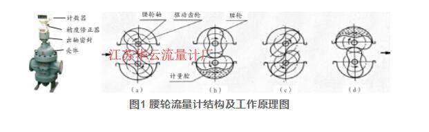 圖1 腰輪流量計(jì)結(jié)構(gòu)及工作原理圖